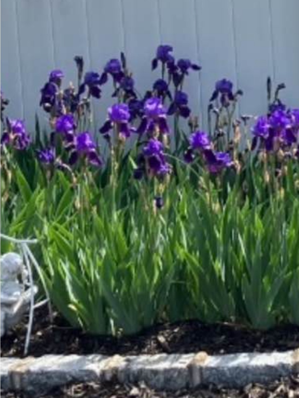 Purple Iris Garden Accent - Unbranded